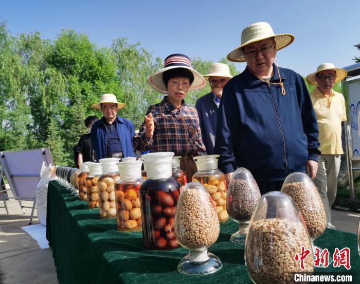 青海：利用冷涼氣候，打造高原綠色種業(yè)輸出地