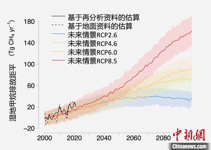 基于觀測(cè)的濕地甲烷排放變化與未來(lái)氣候變化情景下估算的對(duì)比。　中科院青藏高原所 供圖