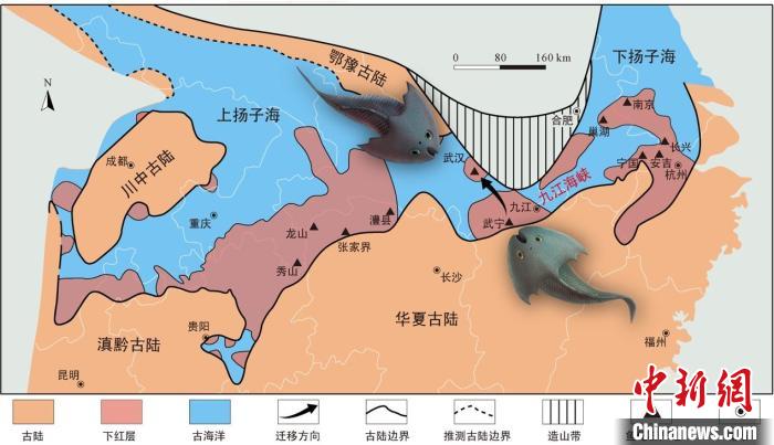 華南地區(qū)志留紀(jì)早期古地理圖和盔甲魚類化石產(chǎn)地(山顯任改自陳旭、戎嘉余，1996；戎嘉余等，2012) 中科院古脊椎所 供圖