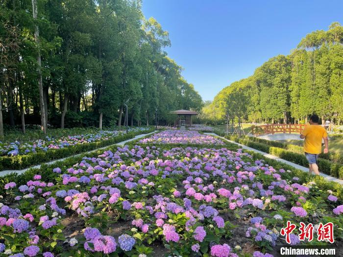 納民意、匯民智上海努力讓“公園城市”建設(shè)真正“合民心”