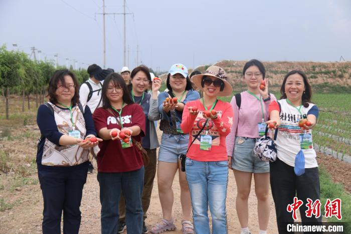 圖為臺(tái)胞體驗(yàn)大美內(nèi)蒙古?！⊥袐I供圖