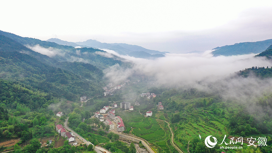 雨后的金寨大灣村，云霧環(huán)繞，宛如一幅田園山水畫卷。人民網(wǎng) 張俊攝