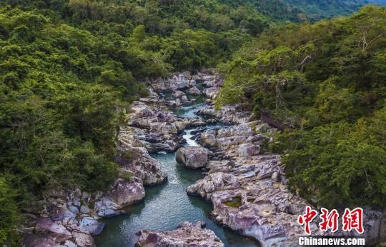 2018年海南生態(tài)環(huán)境狀況等級為“優(yōu)”，植被覆蓋率高，生物多樣性豐富，生態(tài)系統(tǒng)穩(wěn)定，圖為海南中部熱帶雨林?！●樤骑w　攝