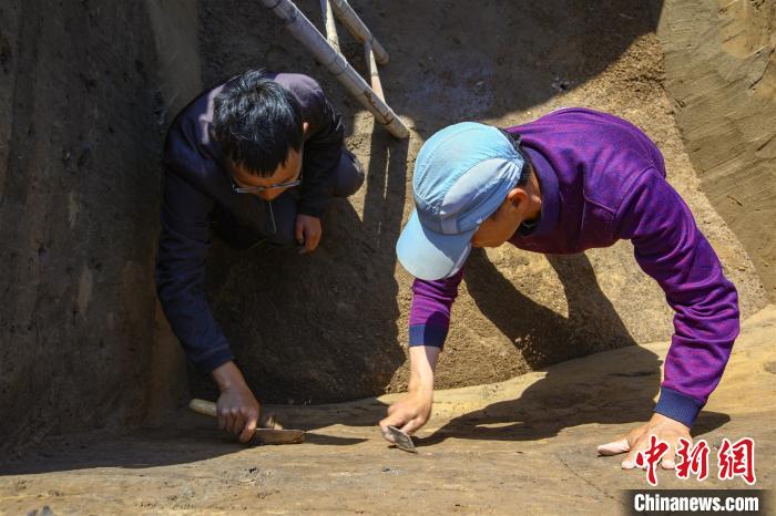 探秘古航道上的大型墓葬群：龍山、唐朝等數(shù)千年文化同步展現(xiàn)