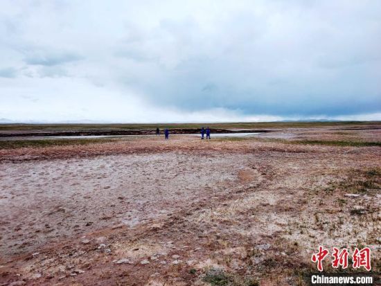 圖為救援力量在青海省西部搜救失聯(lián)的江蘇南京某大學(xué)女生黃某某。海西州藍(lán)天應(yīng)急救援中心 供圖