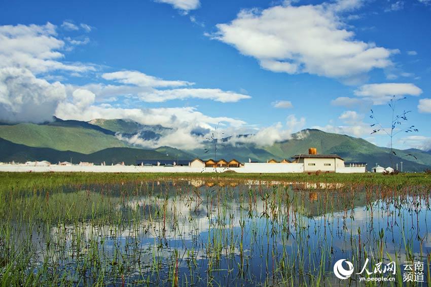 納帕海濕地風(fēng)景。呂昊辰攝