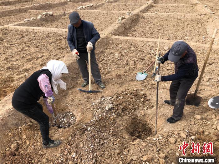 資料圖為建行青海省分行綠化區(qū)施工隊(duì)隊(duì)員處理亂石。　建行青海省分行供圖