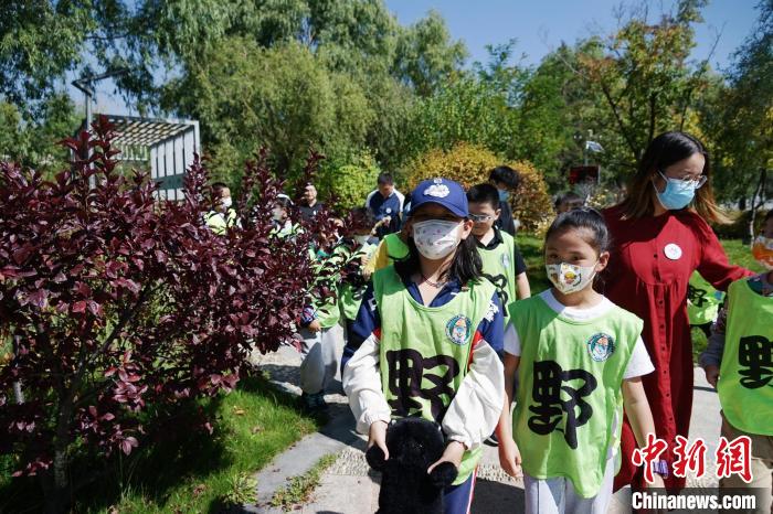 圖為小朋友在青海西寧湟水國家濕地公園內(nèi)認(rèn)識(shí)植物?！●R銘言 攝