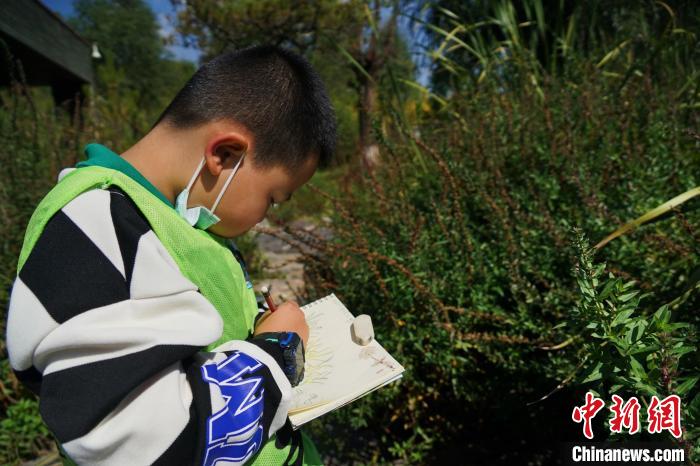 圖為小朋友在青海西寧湟水國家濕地公園內(nèi)認(rèn)識(shí)植物并進(jìn)行繪畫?！●R銘言 攝