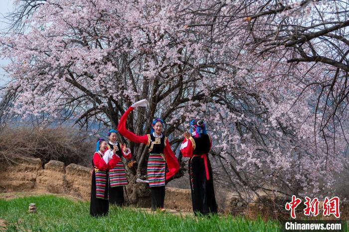 桃花樹(shù)下開(kāi)心玩耍的女孩們?！⒅铱?攝