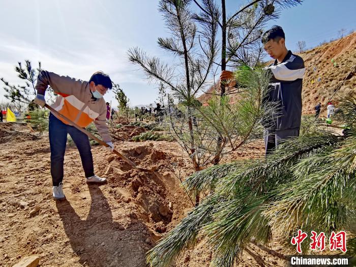 圖為西寧市城東區(qū)義務(wù)植樹活動現(xiàn)場。　張?zhí)砀?攝