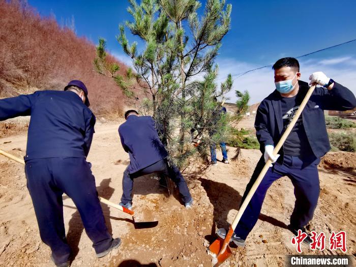 圖為西寧市城東區(qū)義務(wù)植樹活動現(xiàn)場。　張?zhí)砀?攝