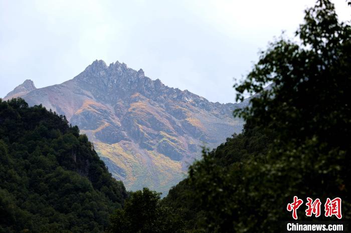 青海互助北山國家森林公園風景如畫美不勝收