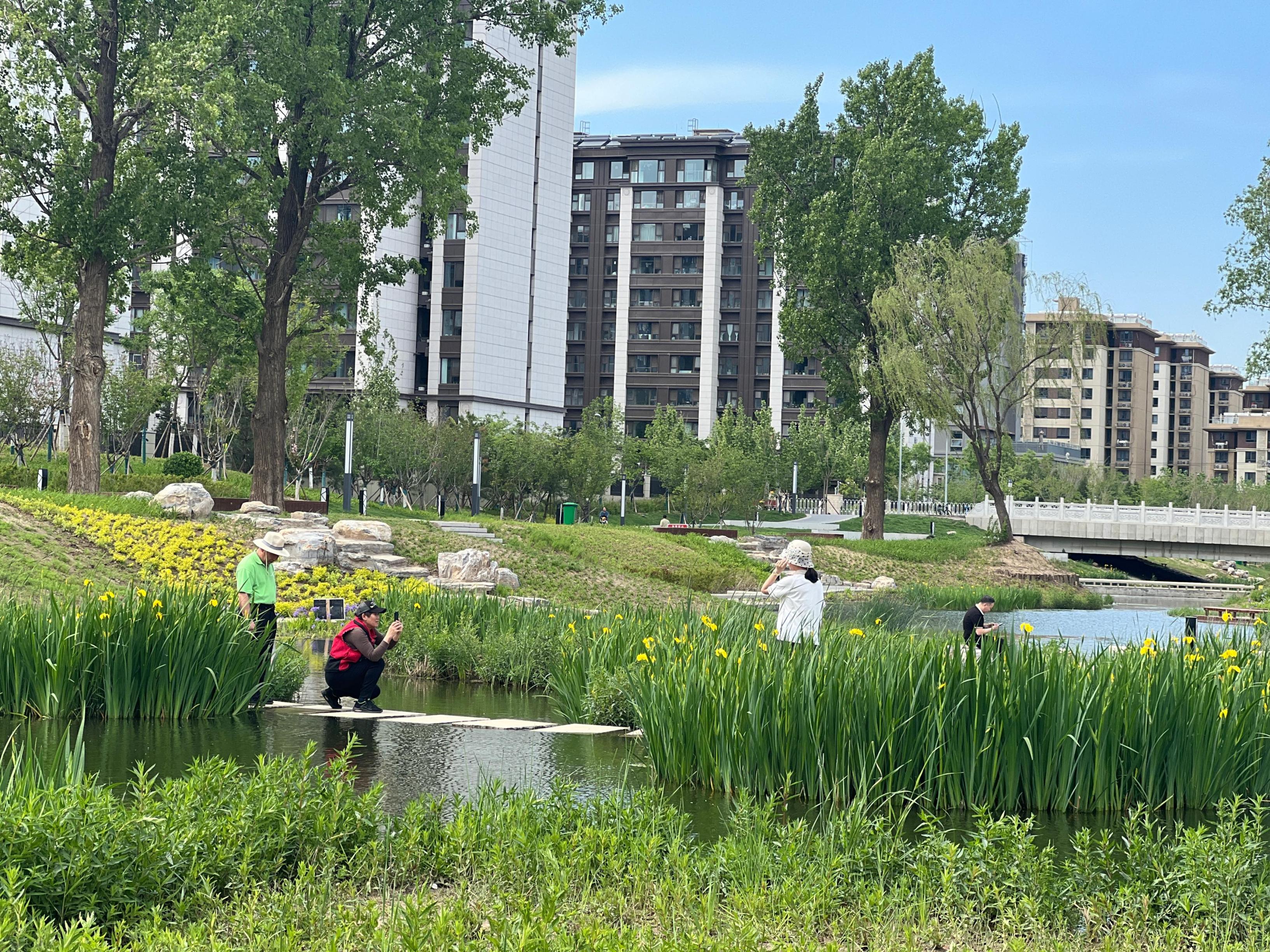 五一渠生態(tài)濱河公園內(nèi)，市民正在拍照留念。人民網(wǎng) 歐陽易佳攝