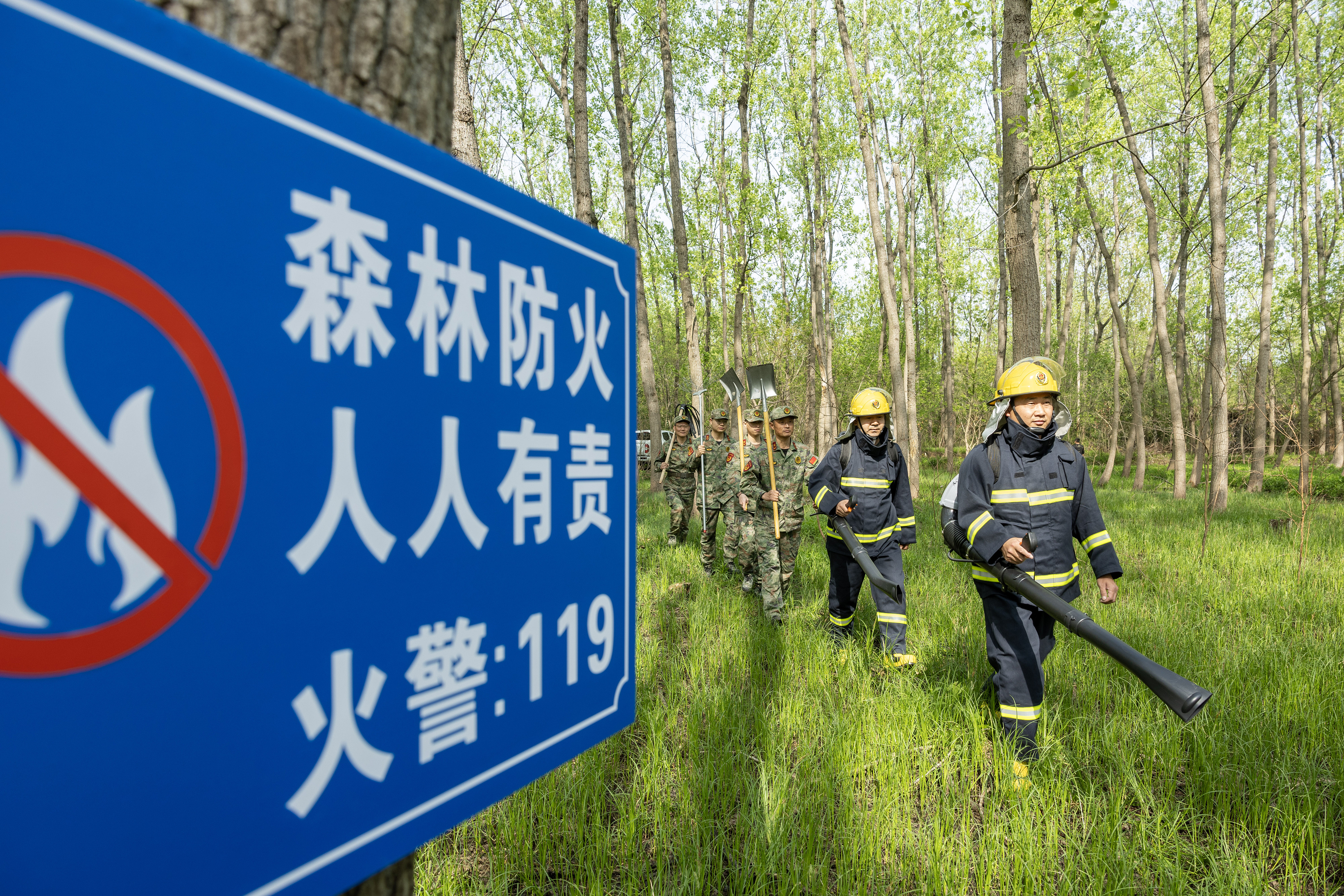 2024年4月9日，合肥市大房郢水庫水源保護地廬陽經(jīng)濟開發(fā)區(qū)段，基干民兵正在林間巡查火災隱患。