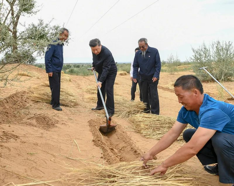 2019年8月21日，習(xí)近平來(lái)到甘肅省武威市古浪縣八步沙林場(chǎng)，實(shí)地察看當(dāng)?shù)刂紊吃炝?、生態(tài)保護(hù)等情況。新華社記者 謝環(huán)馳 攝