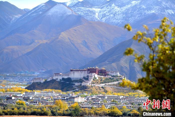 10月24日，雪山、布達(dá)拉宮和秋色組成“風(fēng)景畫”?！〗w波 攝