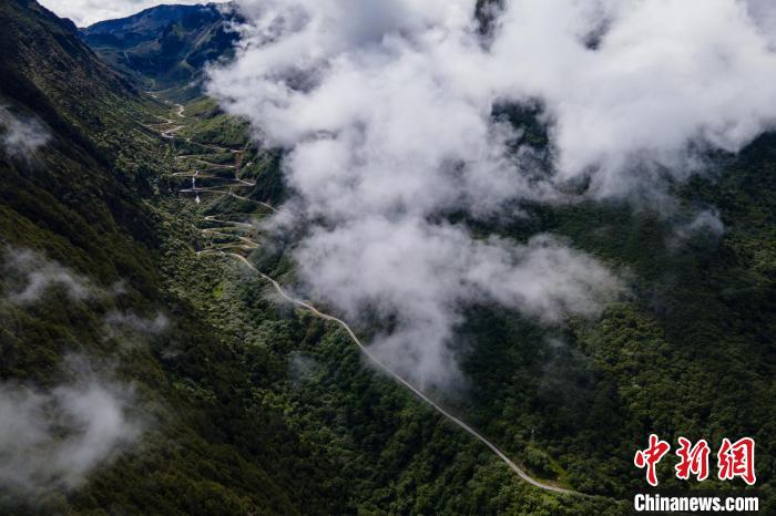 西藏山南勒布溝景區(qū)的盤山公路被云霧環(huán)繞?！〗w波 攝