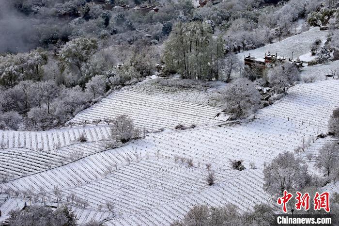 雪后的高山田間如畫。　李永安 攝