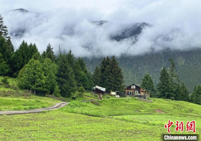 6月10日，魯朗小鎮(zhèn)高山牧場(chǎng)景區(qū)風(fēng)光。　冉文娟 攝