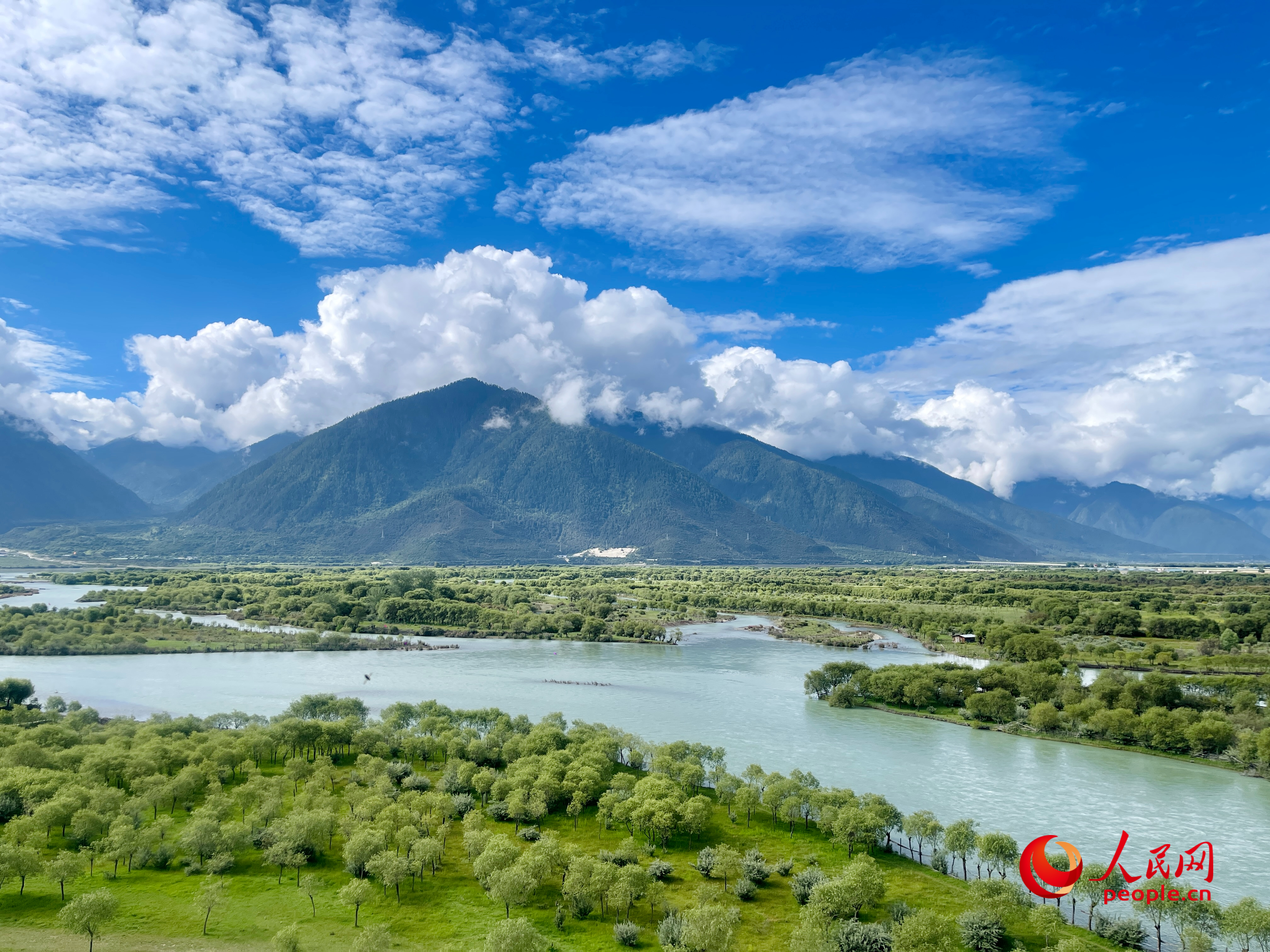 夏日的雅尼國(guó)家濕地公園生機(jī)盎然，如詩(shī)如畫。人民網(wǎng) 周靜圓攝