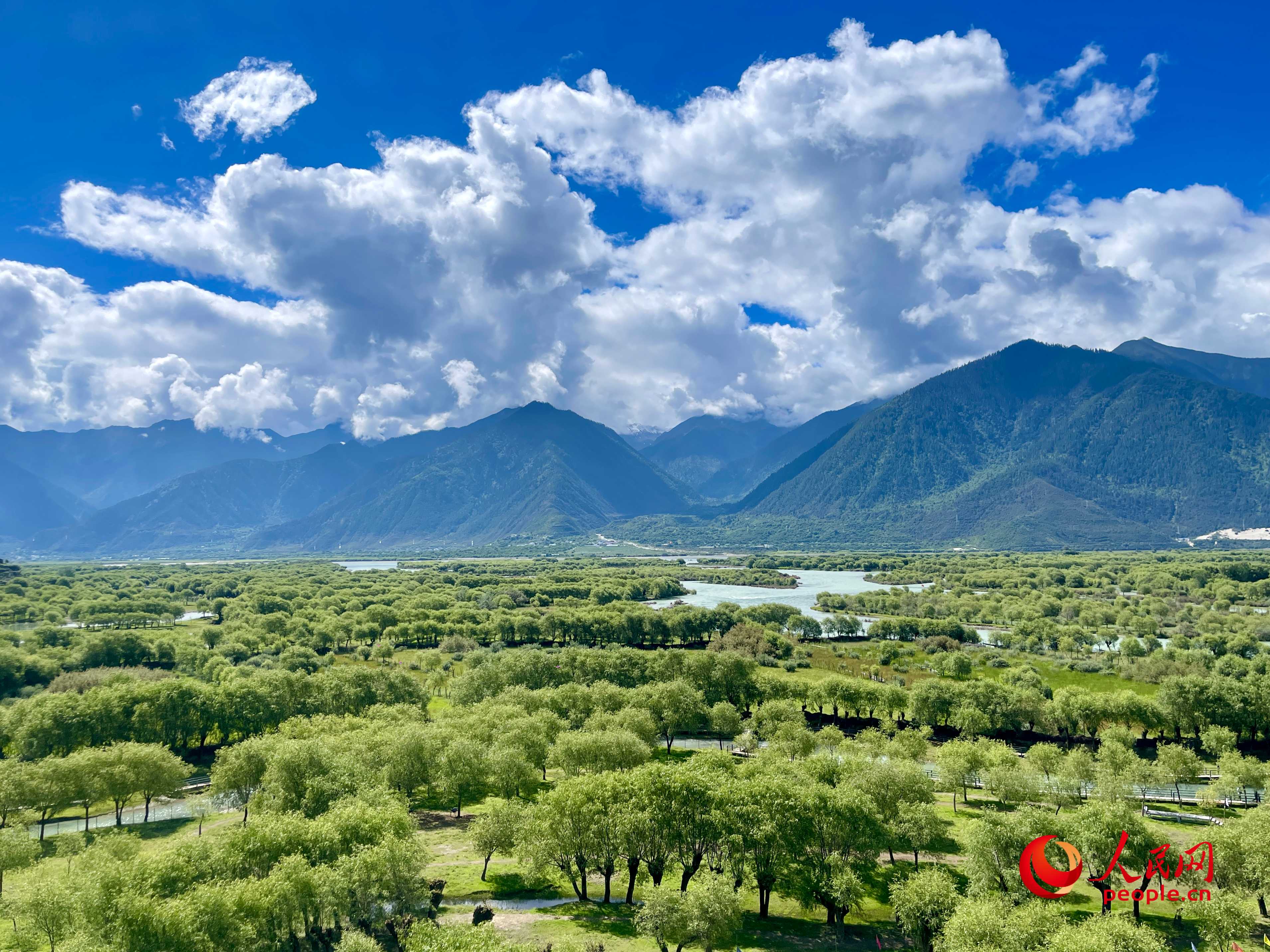 夏日的雅尼國(guó)家濕地公園生機(jī)盎然，如詩(shī)如畫。人民網(wǎng) 周靜圓攝