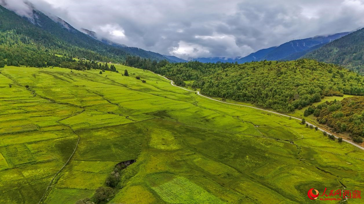 圖為航拍高山牧場(chǎng)鳥瞰圖。人民網(wǎng)記者 次仁羅布攝