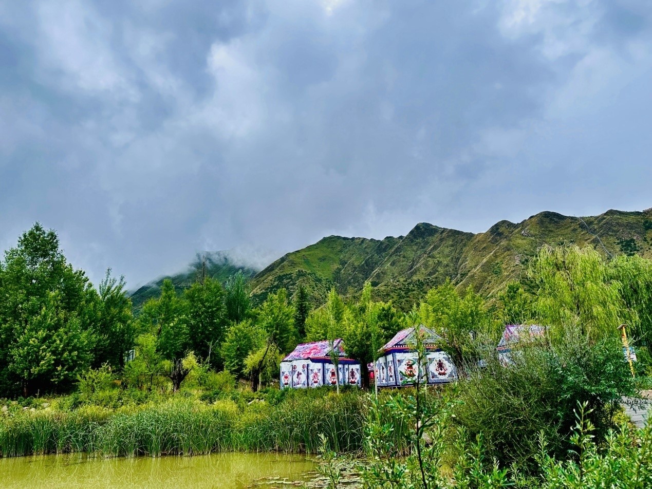 郁郁蔥蔥的南山公園。人民網(wǎng)記者 益西康珠攝